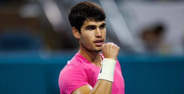 他们采用了 他们采用了