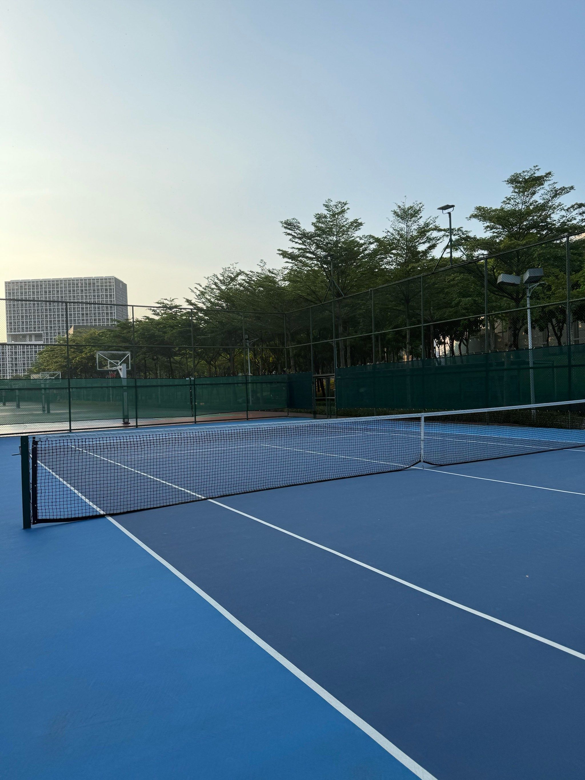 著改善運動 著改善運動